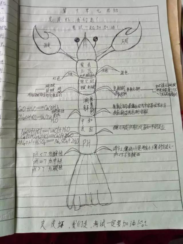 1495415594957901.jpg 微信图片_20170522091304.jpg