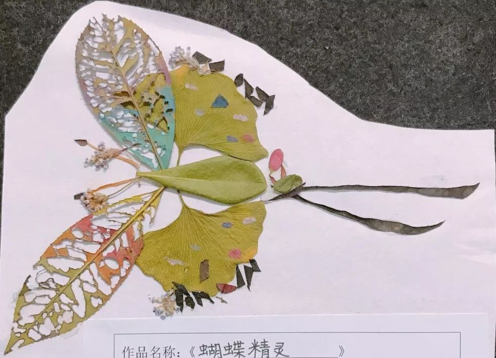 1548224438957207.png image.png