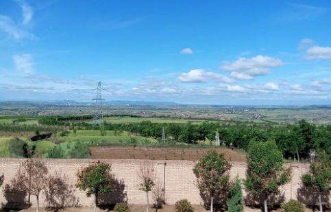 1583998437155898.jpg 3.jpg