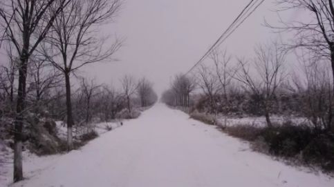 1583998461603021.jpg 4.jpg