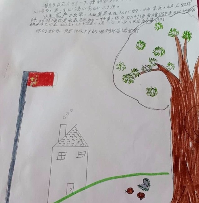 1598587245569371.jpg 5e5f3ba7564d7.jpg