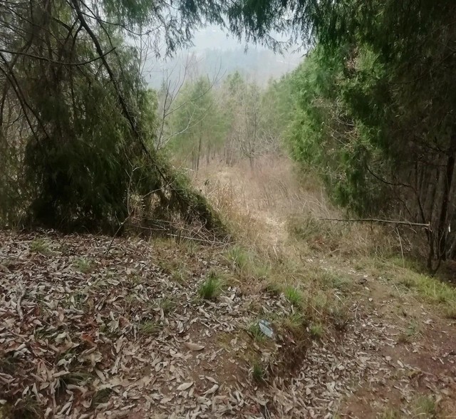 1598592896649210.jpg 5e874b24da2aa.jpg