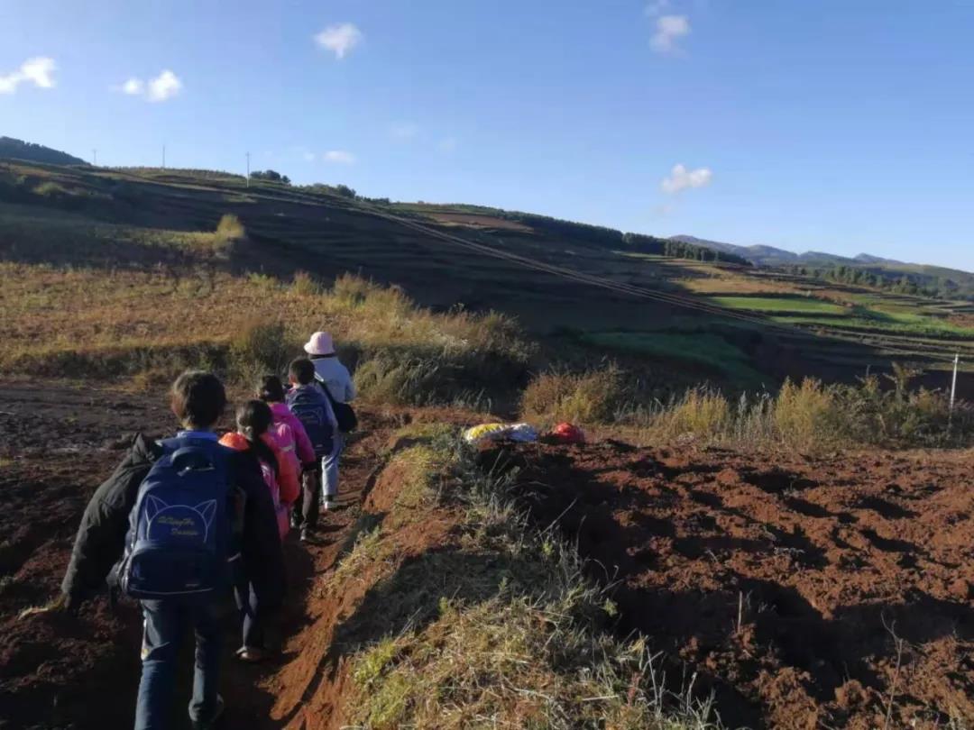 1600248087829668.jpg 1600248087829668.jpg