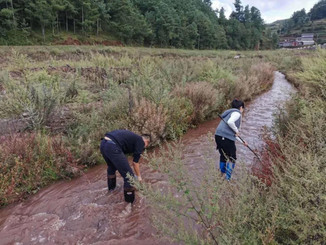 1629351824214361.jpg 1629351824214361.jpg