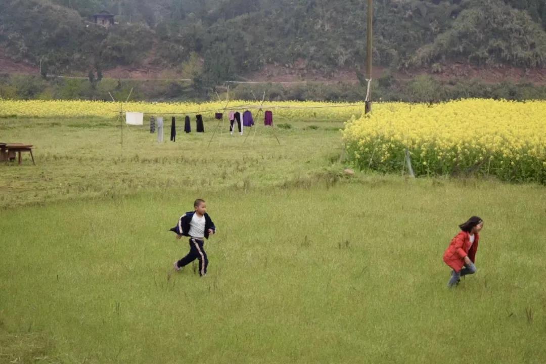 1631606021990661.jpg 2.jpg