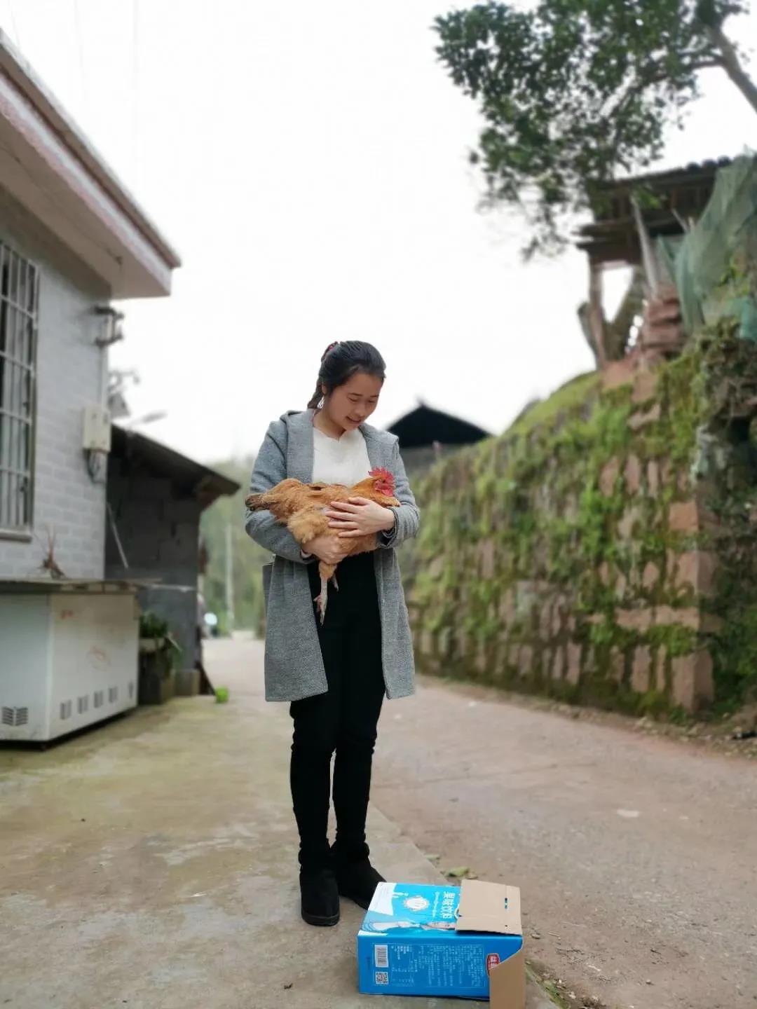 1631606032269561.jpg 3.jpg