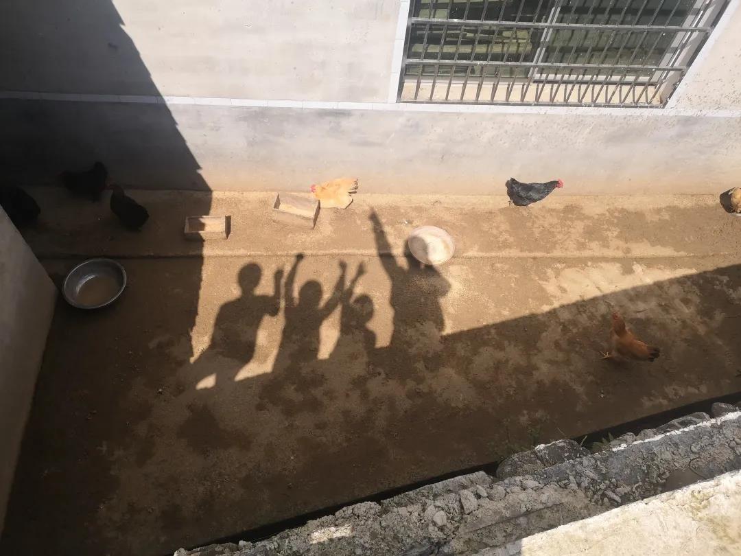 1631926185969477.jpg 10.jpg