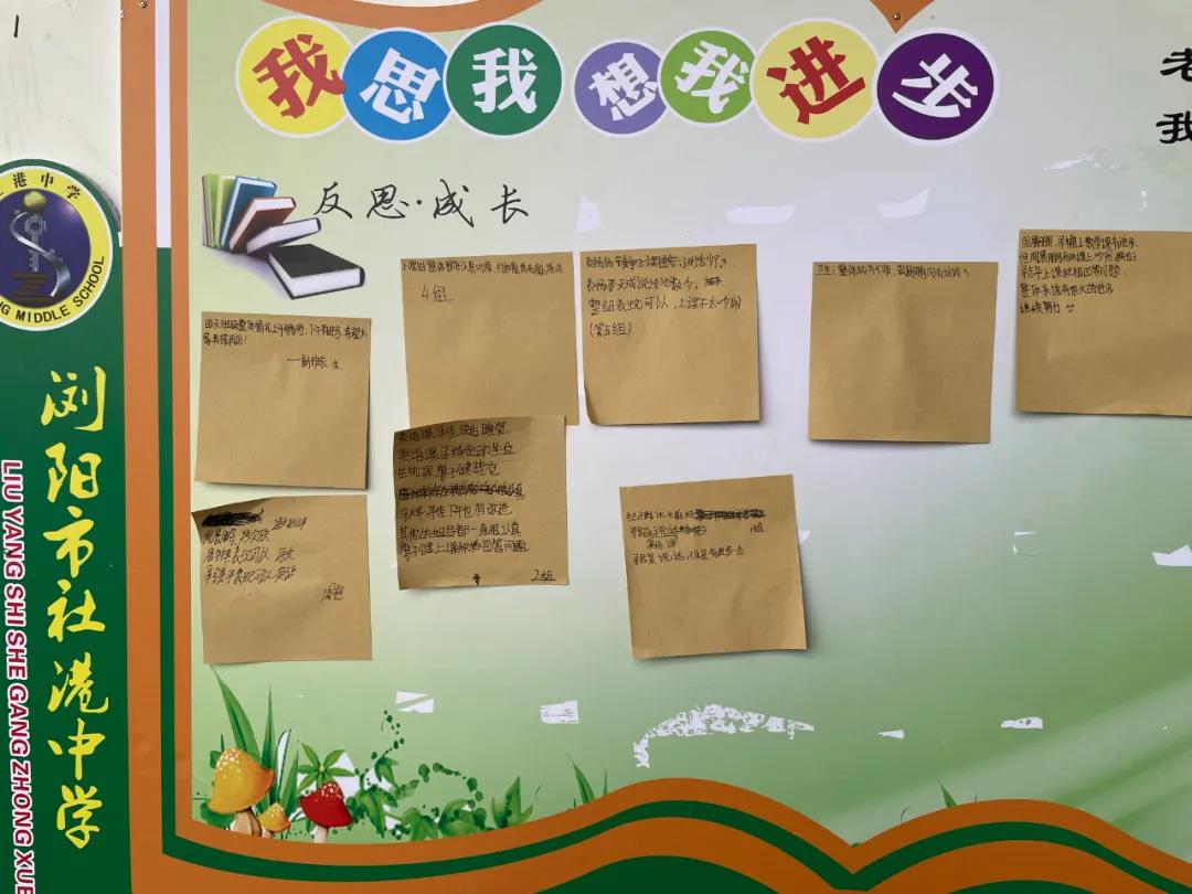 1634693219335715.jpg 9.jpg