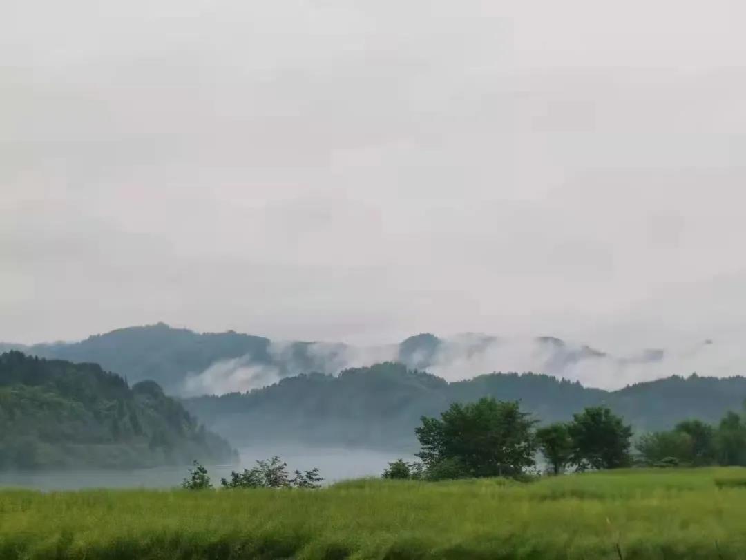 1637717118741405.jpg 3.jpg