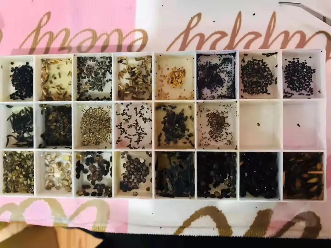 1637717126891745.jpg 4.jpg