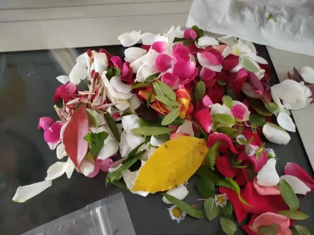 1637717143386991.jpg 6.jpg