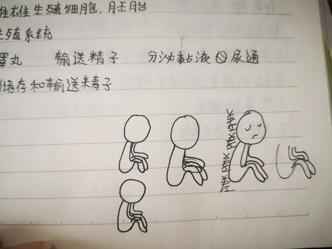 1646286641581201.jpg 3.jpg