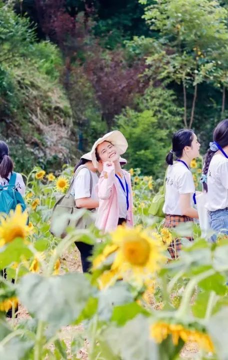 1662023799667178.jpg 7.jpg