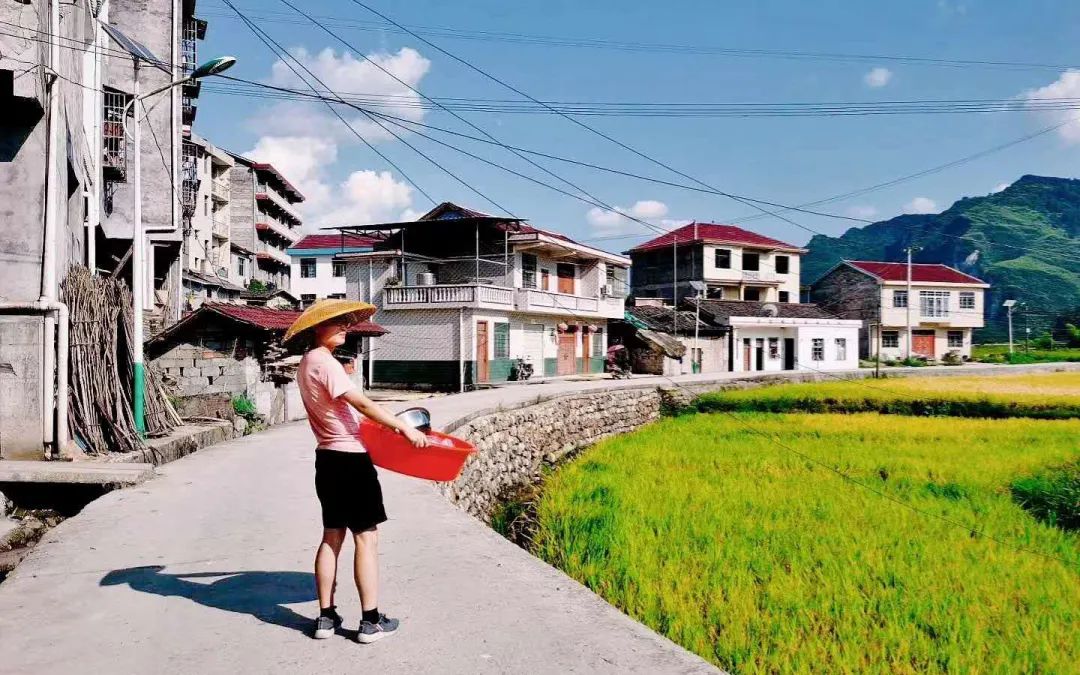 1662023814267415.jpg 9.jpg