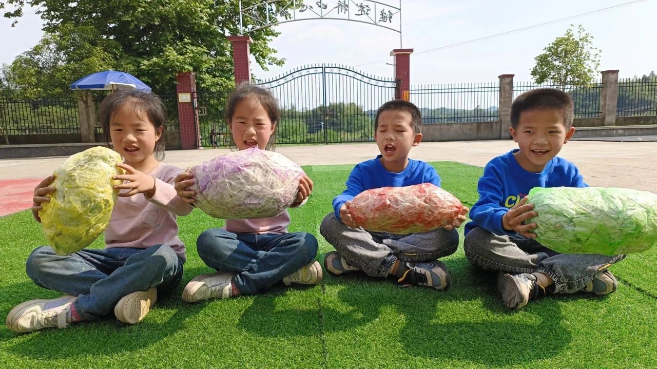 1705667867832687.jpg c2ce58447fe450aa15fa4379e779a422.jpg