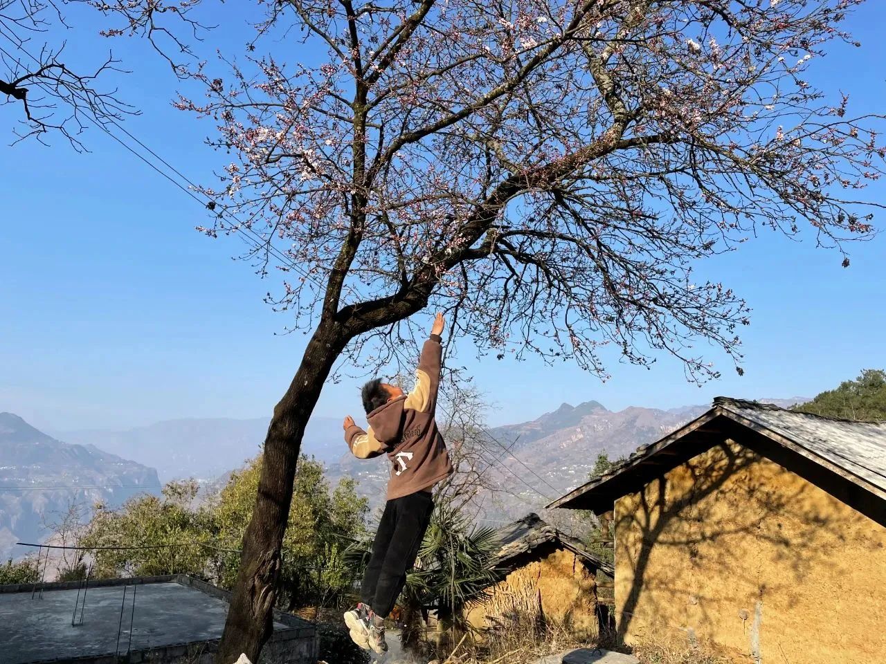 1706177456307341.jpg 1feb6f252e2e6e4ecd9e1369ca2dffc0.jpg