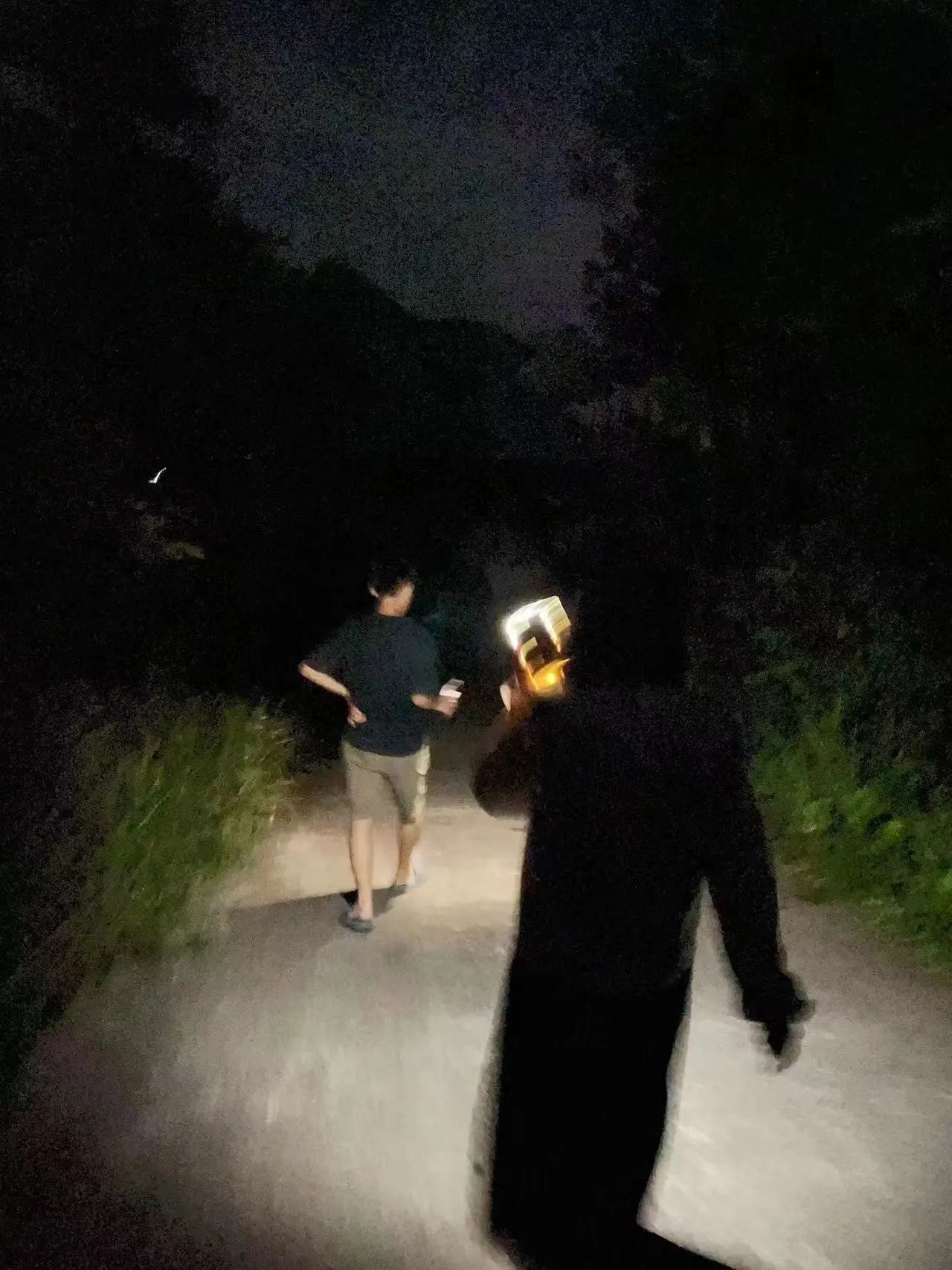 1706236180681611.jpg af0315cbce8cb9acccebf9be9aae536d.jpg