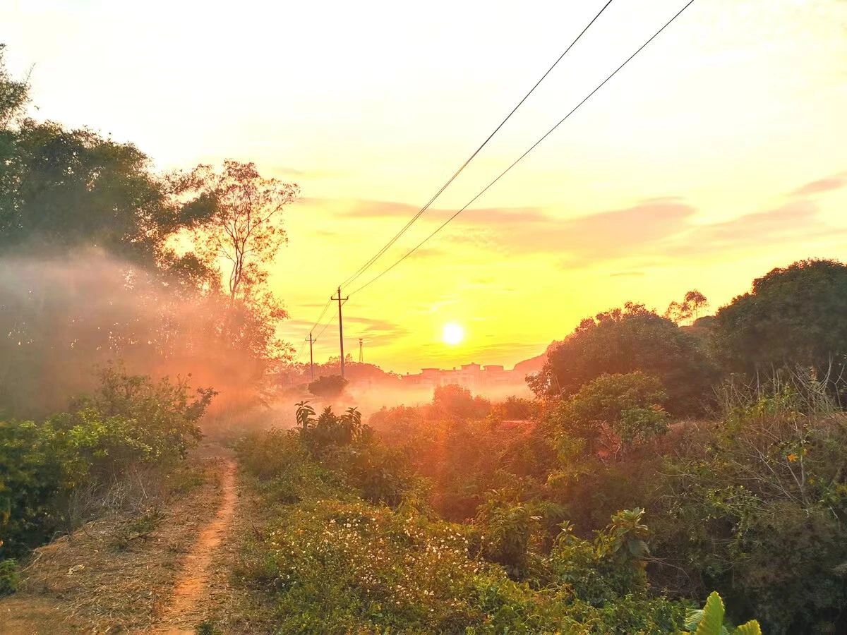 1706236204551408.jpg 05c65c76a5bc1c4abf9fdbcc6cae7ef9.jpg