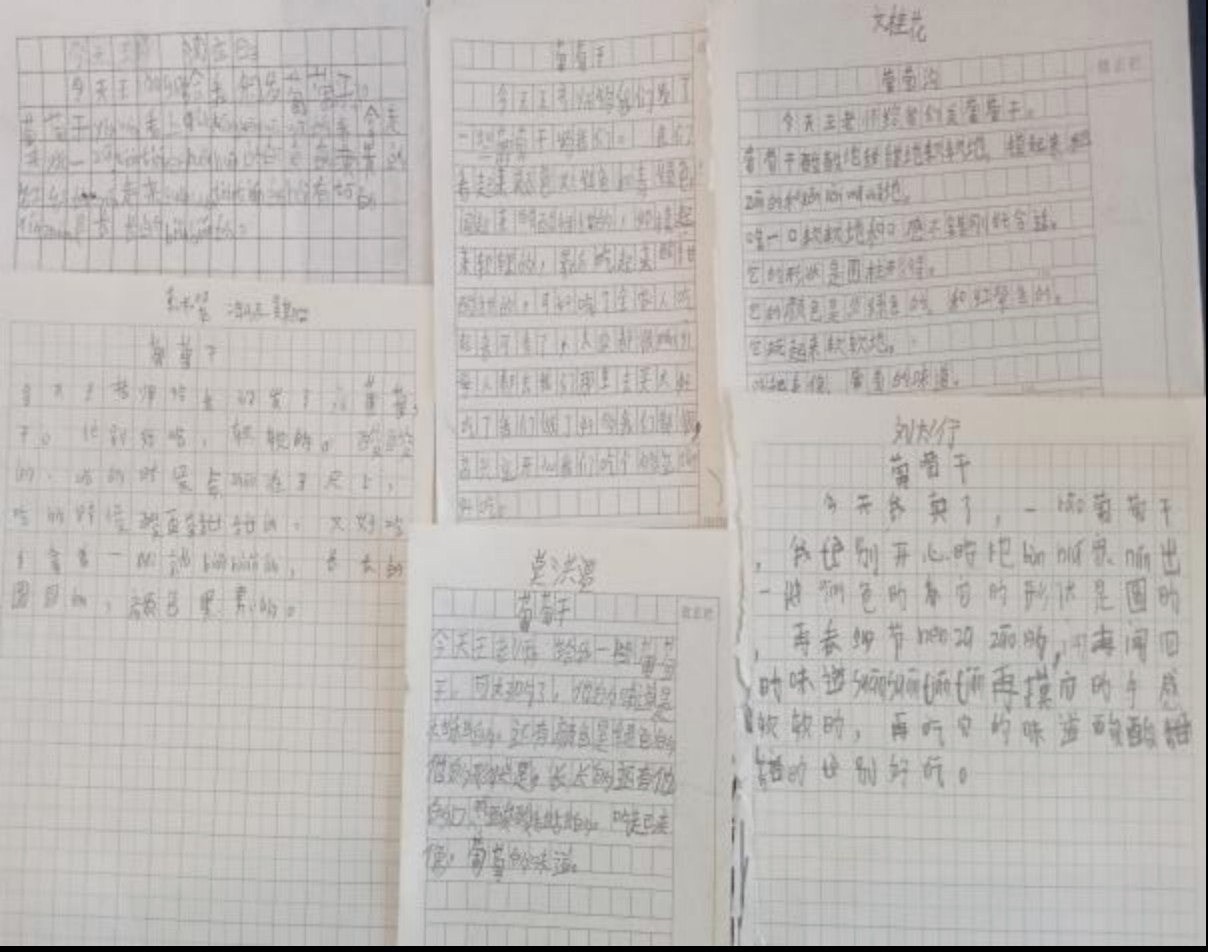 1708500701884765.jpg 33dd96d22202570f553537be4c01036a.jpg