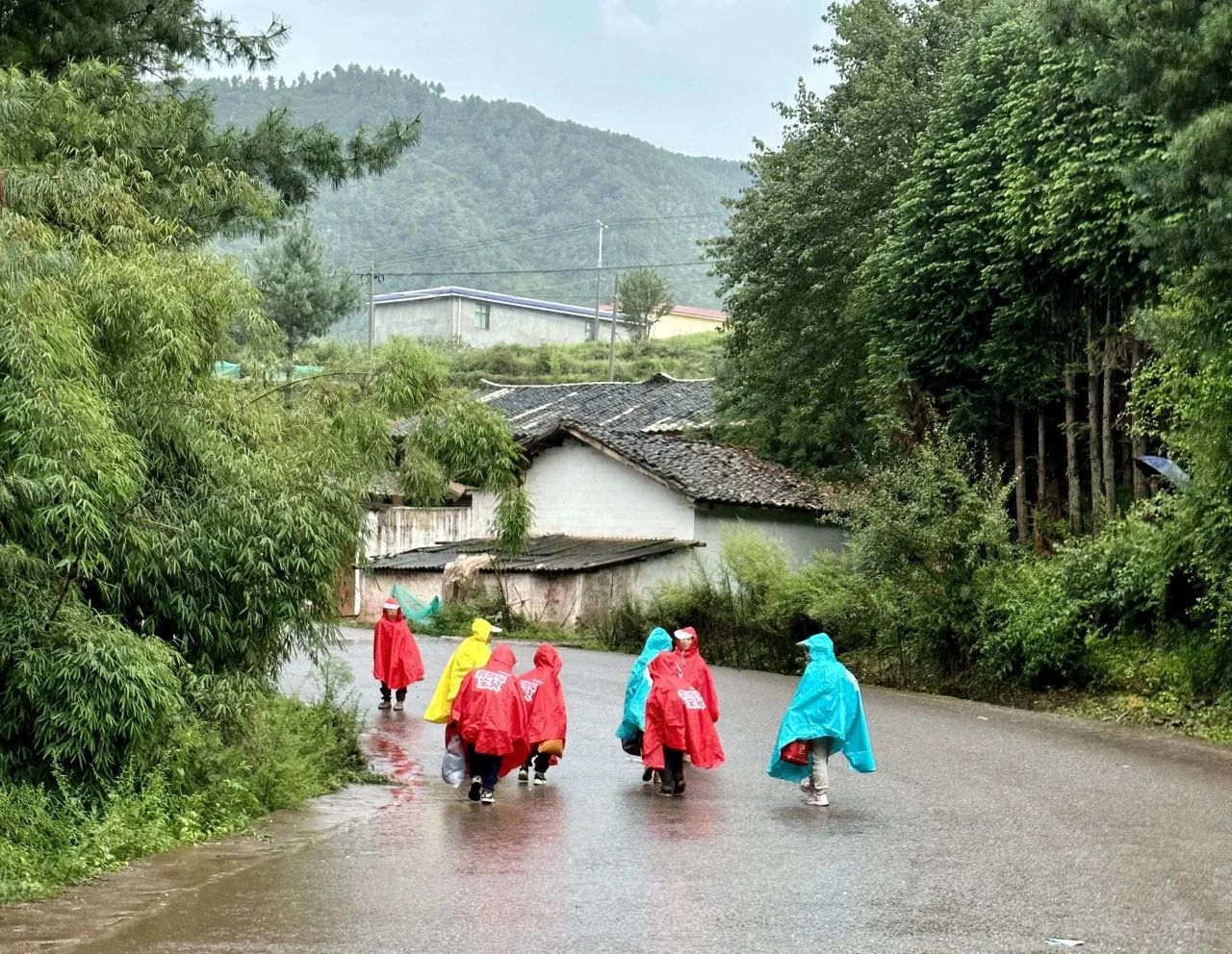 1708594178218924.jpg 9643db93827c91f4c0ea49b8112adcfe.jpg