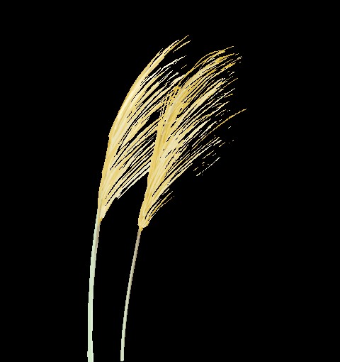 1708594196121254.jpg 005bc050aa40f646cdc325f723e1884d.jpg