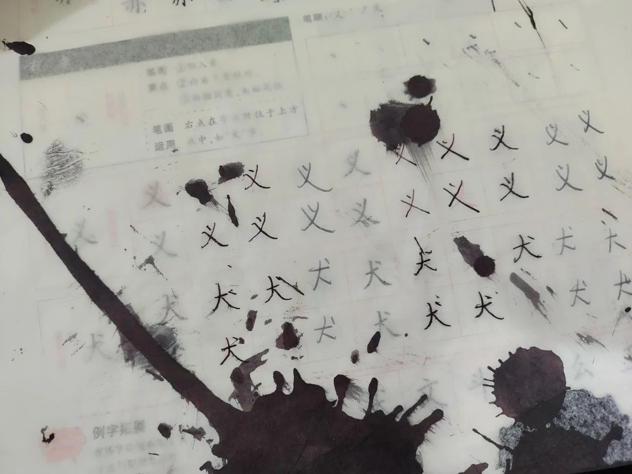 1709553337219143.jpg 33b393c2342f5695bed94ff7b5f96ca2.jpg