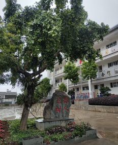 1710856801573838.png 截屏2024-03-19 21.55.55.png