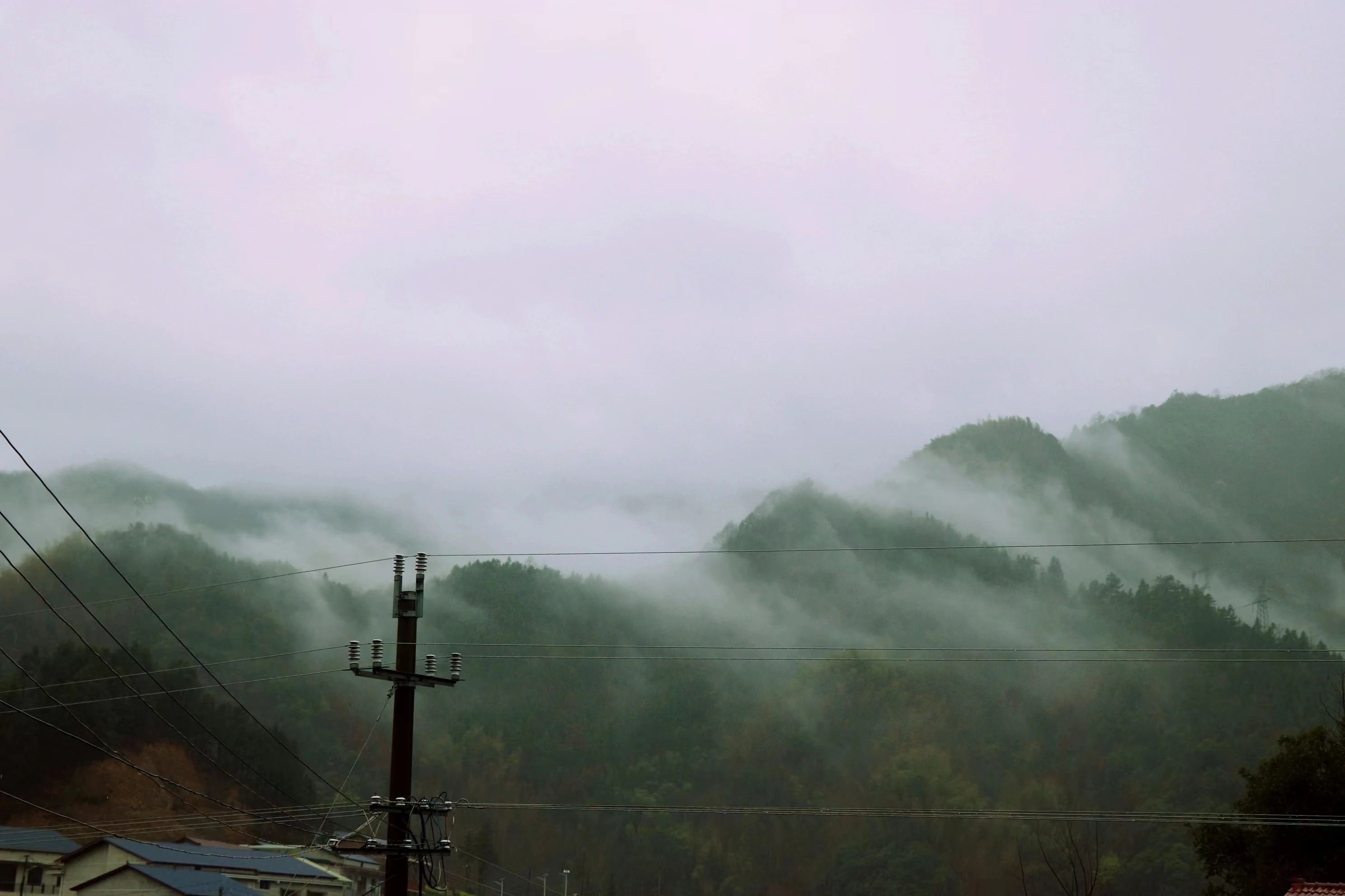 1712975196226461.jpeg 8349216ed6025760bf403699af751692.jpeg