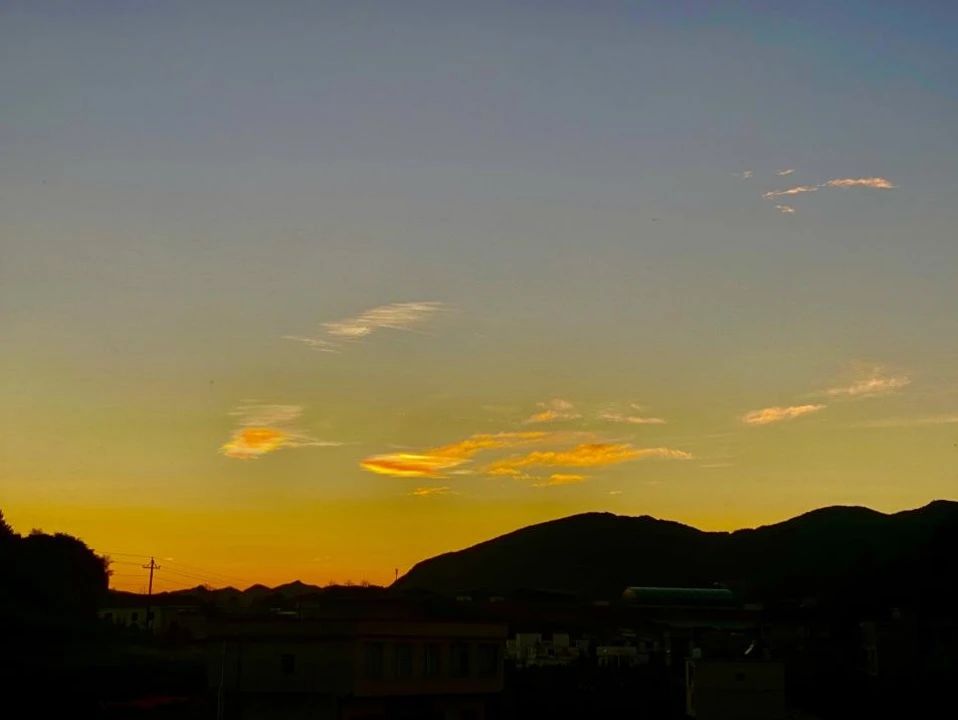 1713232815593978.jpeg 2aa3cb4df3cc0b6cc7c26b80afe64840.jpeg