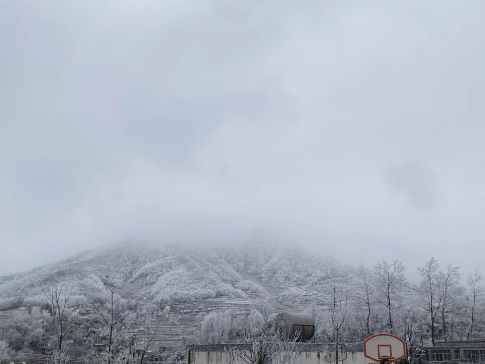 1713232825128738.jpeg 89eabec26cad4eb6d21ba4cefbcb0fd5.jpeg