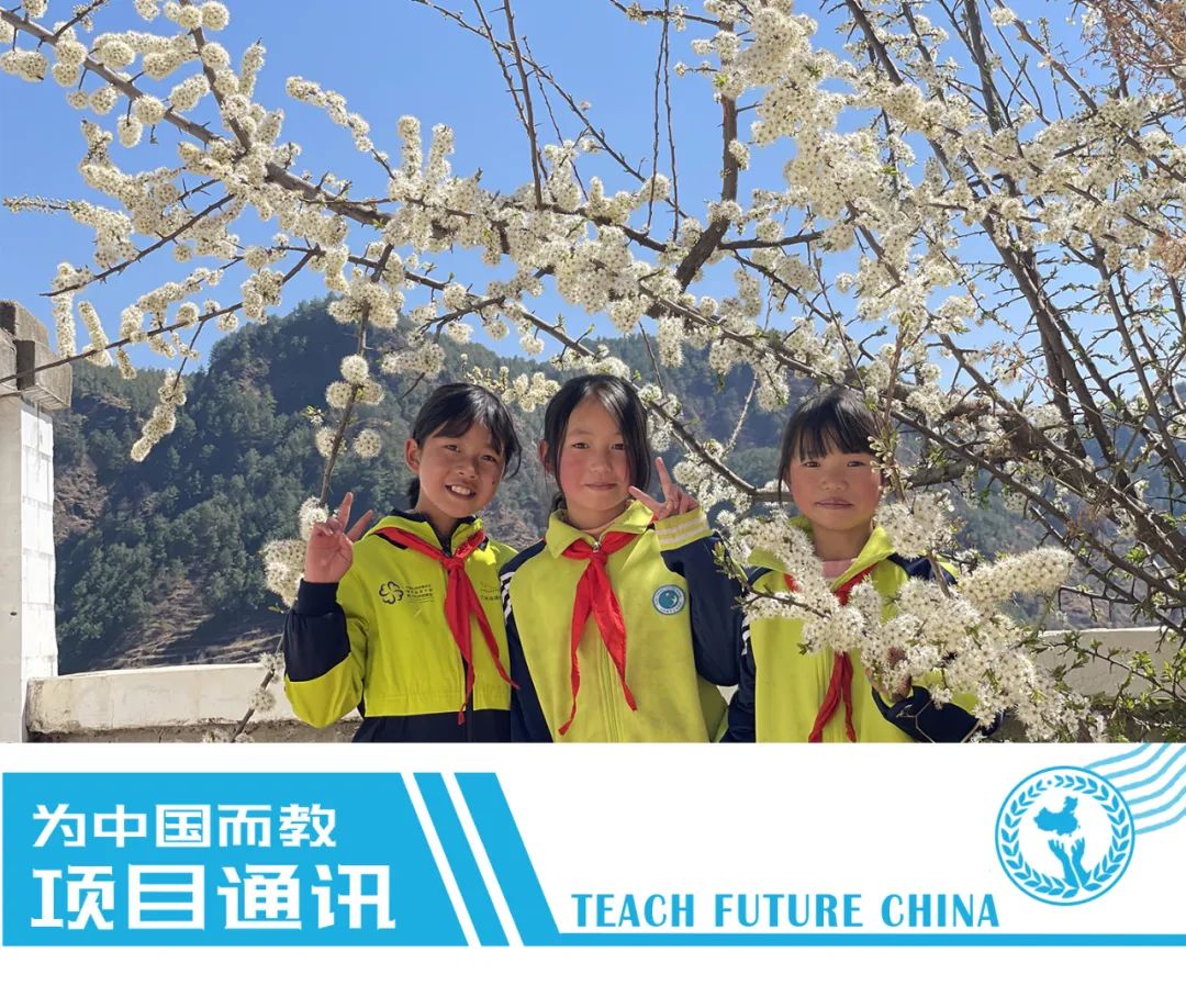 1725504840194869.jpeg c2d97e4e79a98599bb6a71c9fea729e0.jpeg