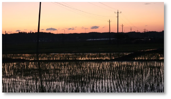 1725504917771708.png 46f4bf1edd9e54c0df268a15af1bd596.png