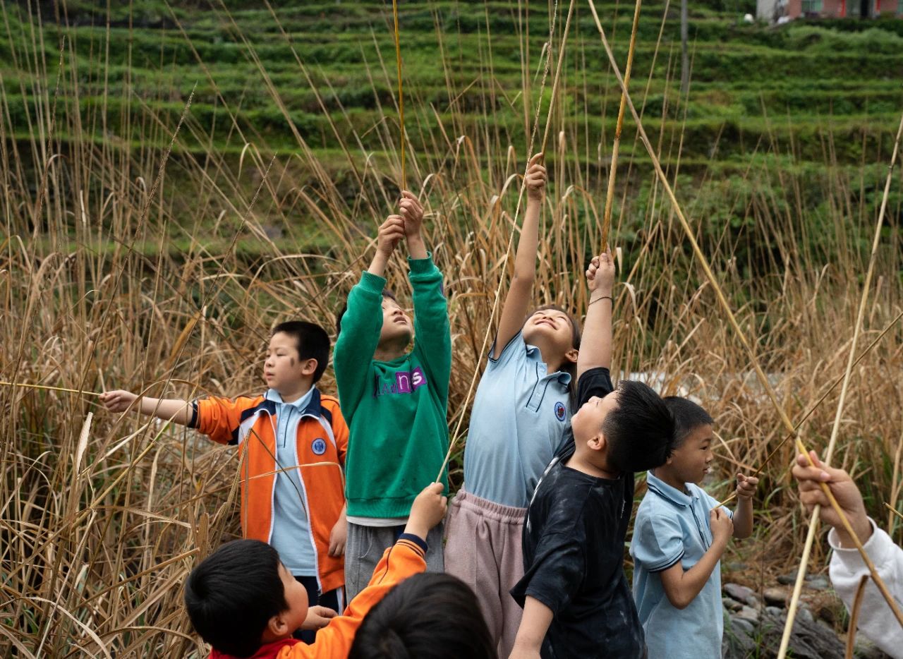 1725505140246250.jpeg e97efde6787897f9697ffe56676b5def.jpeg