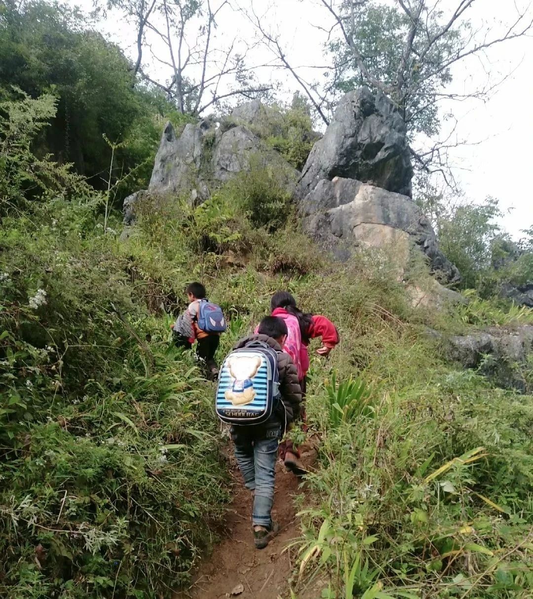 1726715896419905.jpeg 7585bb51f09552514698091157655c31.jpeg