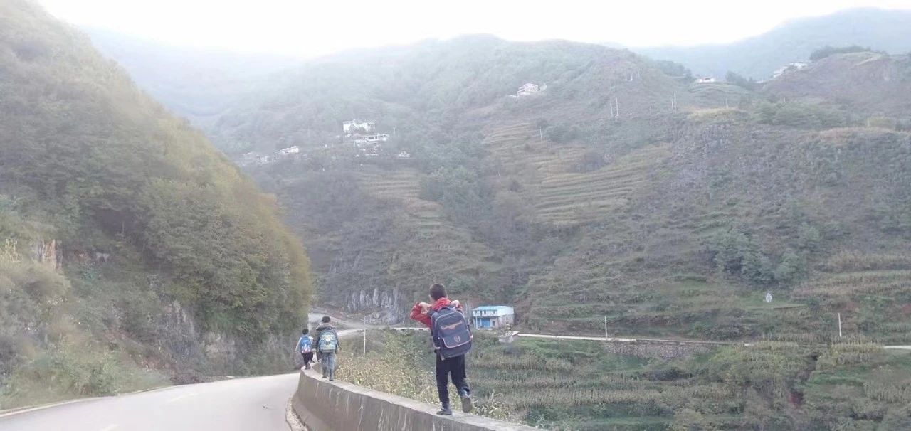 1726715930305619.jpeg 6592826dc70e260f36eb1bd6c6de6ede.jpeg