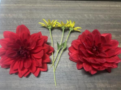 1726716150636535.png c50bdef188195dc88d49f45e7e66a34c.png